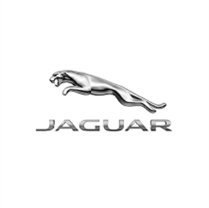 Logo image of Jaguar