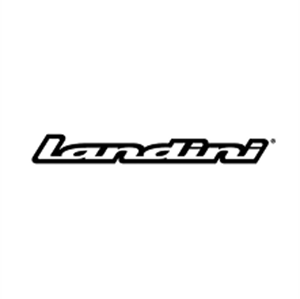 Logo image of Landini