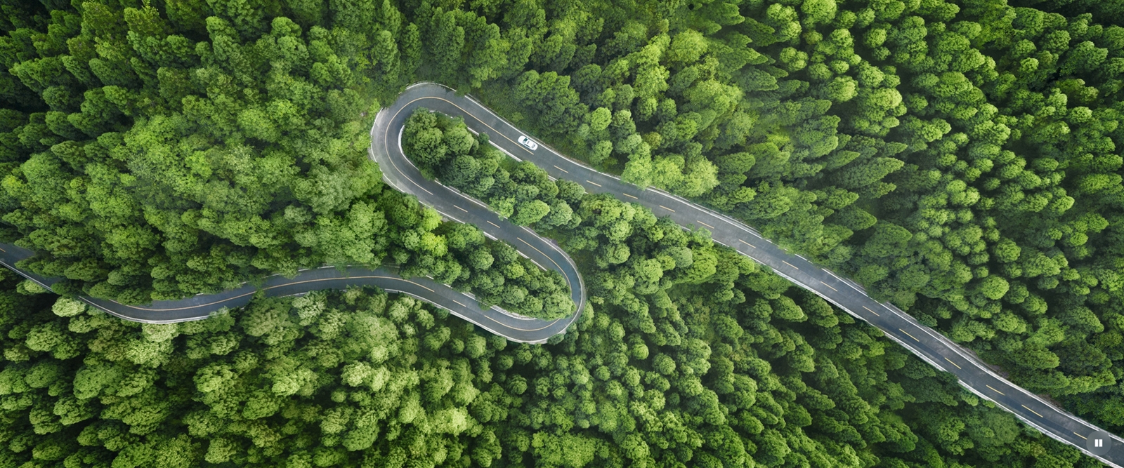 The Path Forward